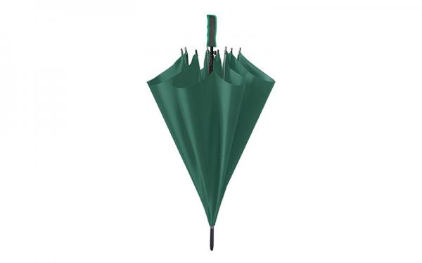 PL091 VERDE