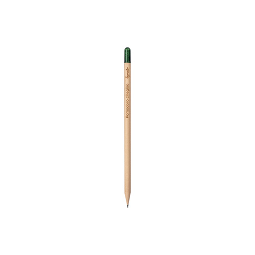 Semi di Pomodoro Ciliegino