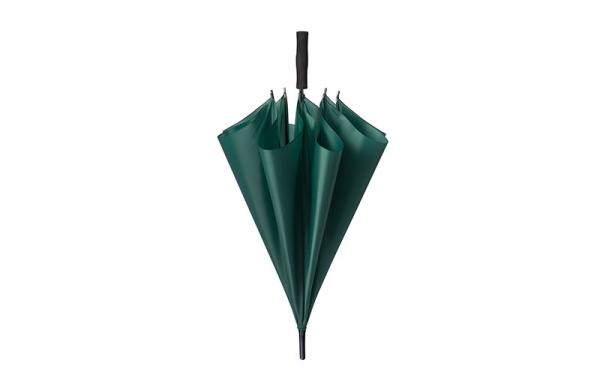 PL119 VERDE
