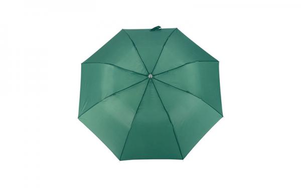 PL135 VERDE